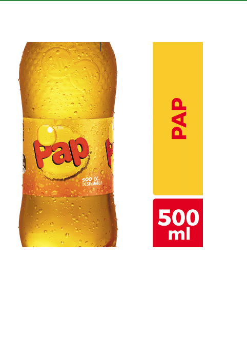 PAP 500 CC — Constructor Center Chile